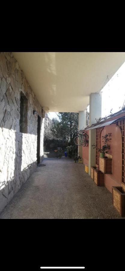 Yellow House Apartment Turin Ngoại thất bức ảnh